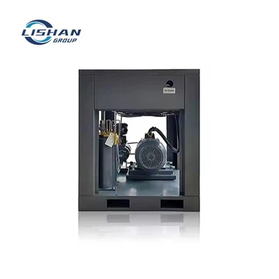 Bipolar permanent magnet variabel frekvensluftkompressor125a